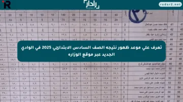 تعرف على موعد ظهور نتيجة الصف السادس الابتدائي 2025 في الوادي الجديد عبر موقع الوزارة